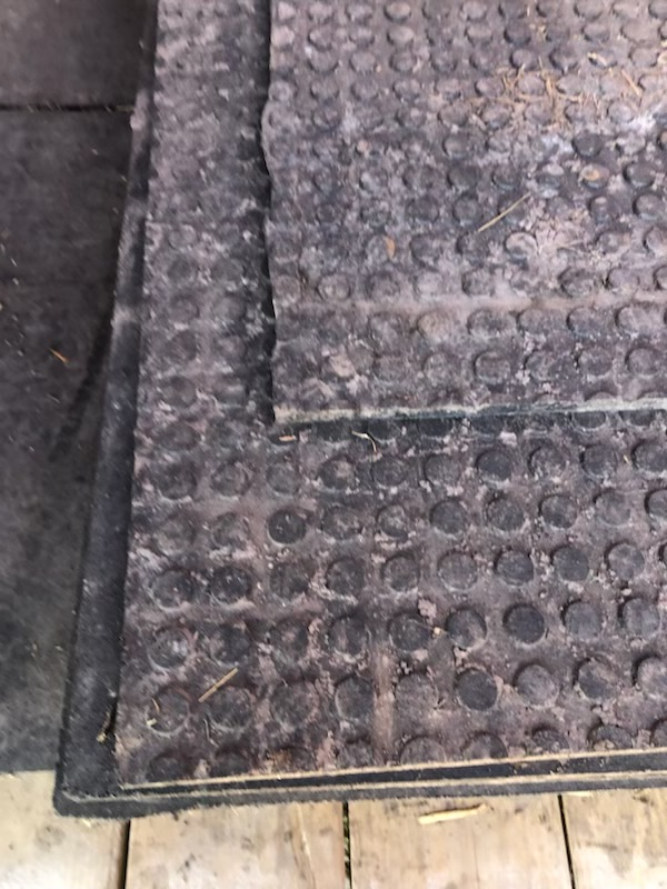 Horse/Cattle Mats in Livestock in Owen Sound - Image 4