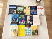 Books / novels (recent bestsellers, suspense / mystery / beach..