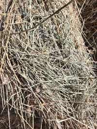 5x6 Mixed hay bales