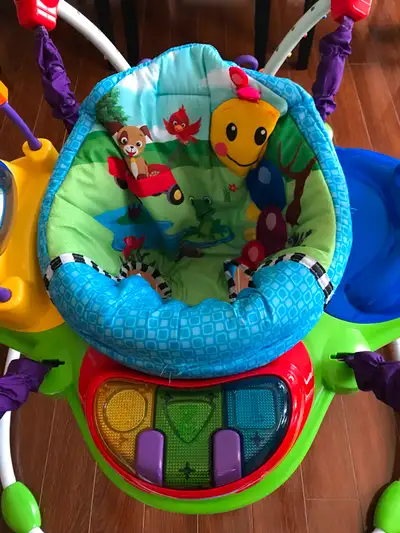 Baby Einstein Activity Jumper, View more