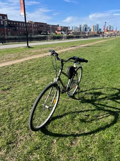 Selling my trusty Devinci hybrid bike, perfect for city commutes and leisurely rides. This bike has...