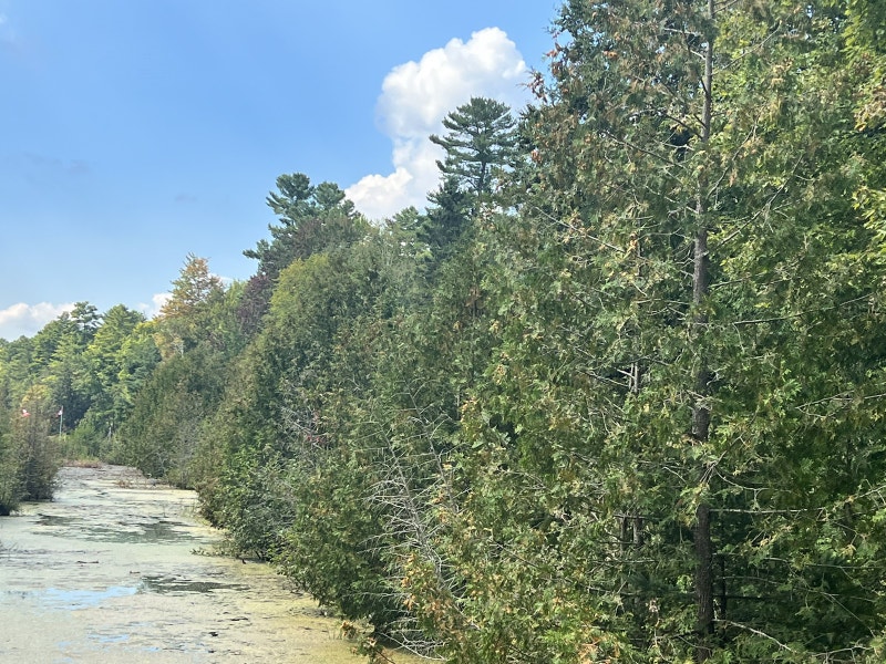 Vacant year round access waterfront lot Oak Lake Land for Sale