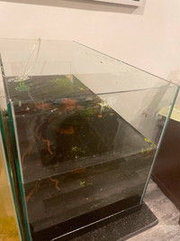 Wanted 10g (2) rimless aquarium fish tank