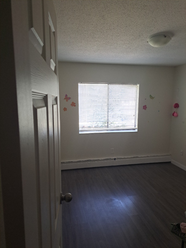 Room available in 2 BDRM Apt. $800 in Room Rentals & Roommates in Cowichan Valley / Duncan - Image 3
