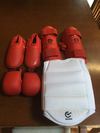 Sparring Gear Set