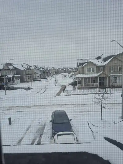 Help Wanted: Mover (Cash Job), View more