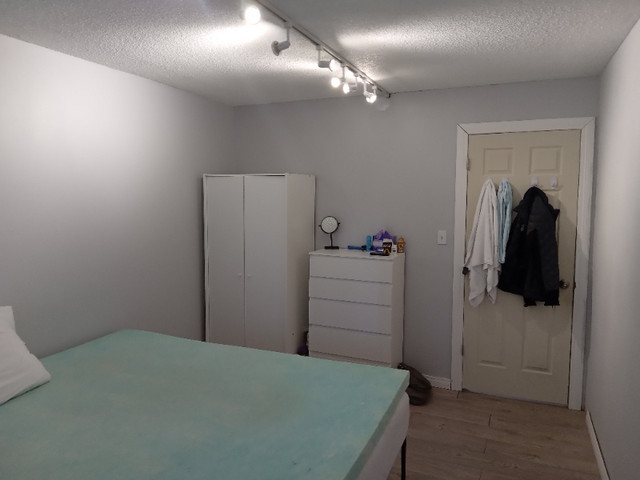 Lovely, spacious room --Great Location in Long Term Rentals in Mississauga / Peel Region - Image 3