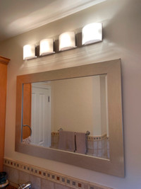 Frosted Glass and Brushed Nickel Vanity Light $50