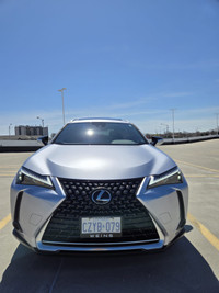 2024 Lexus UX250H