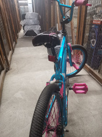 Avigo 20 inch bike