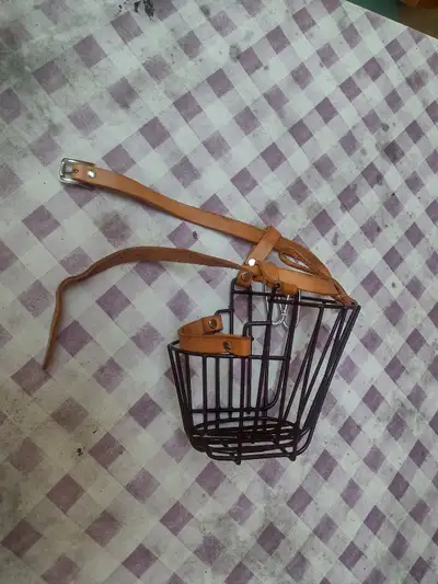 Dog Accessories, View more