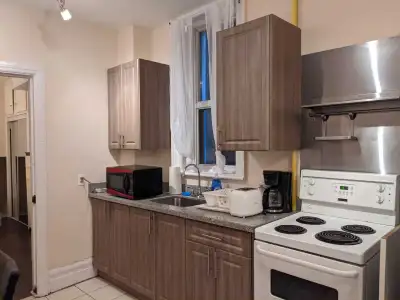 Furnished one-bedroom apt, Dundas/College Station, TMU, Aug 1