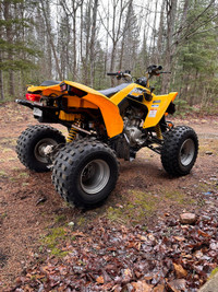 Can-Am DS250