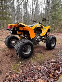 Can-Am DS250