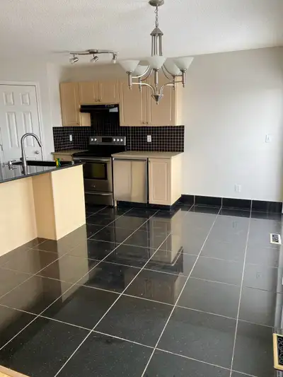 This home is in the northeast area, across of genesis center. It is also close to the train station,...