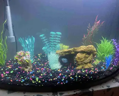 Fish Tank.., View more