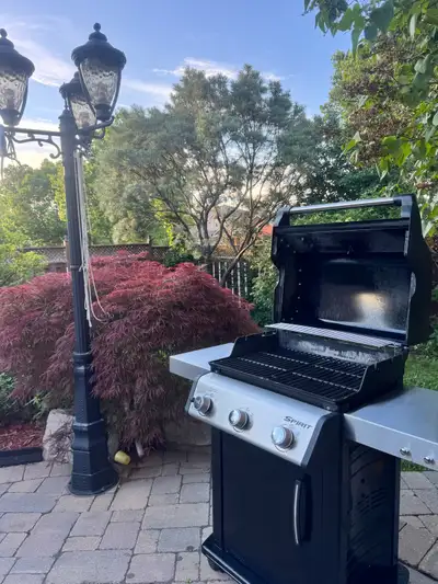 BBQ CLENAING - I MAKE YOUR BBQ LOOK LIKE NEW, View more
