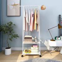 Garment Stand Multipurpose Metal Coat Hanger Clothes Rack with 2
