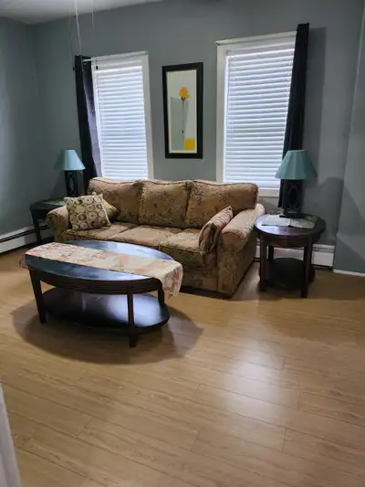 Central, Clean, Quiet, Furnished or Unfurnished Two Bedroom Apt. for Rent - Available March 1, Can b...