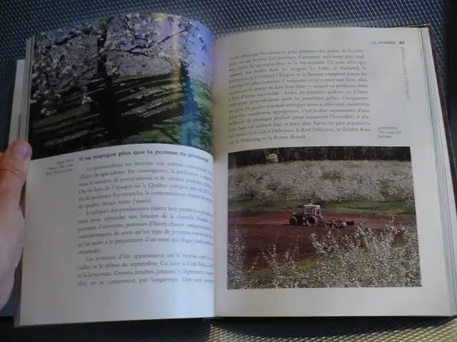 FLAVORS OF THE QUEBEC COUNTRYSIDE62863728532355123