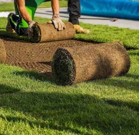 sod installation helper available 