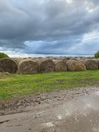 Hay Bales for Sale, View more