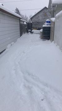 Snow removal  for around Dunlop st west an boys st 