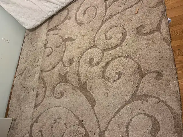 Large off white rug with runner in Free Stuff in City of Toronto - Image 2