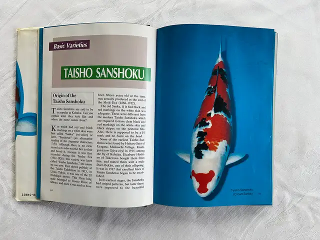 Modern Nishikigoi – Hardcover by Takeo Kuroki in Other in City of Toronto - Image 5
