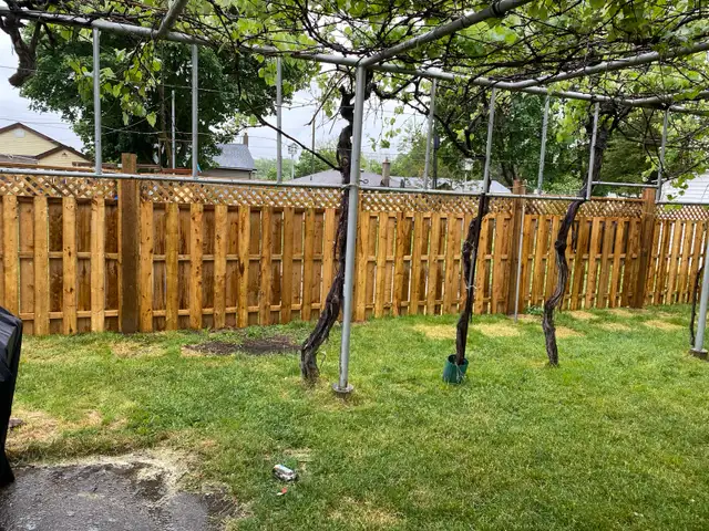 Fences, Decks and More539799295644805128