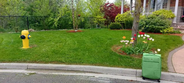 Grass Cutting/Yardcleanups
