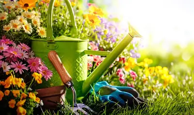 CLEANING & GARDENING HELPERS, View more