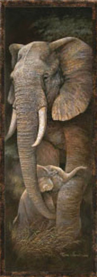 African wild Animal Poster size 12" X 36" By RUANE MANNING NEW
