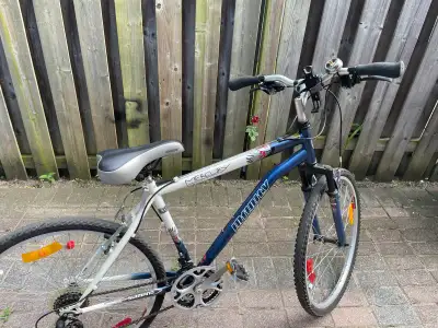 Costco brand; Barely used;original price is $479. Absolutely rides like new.