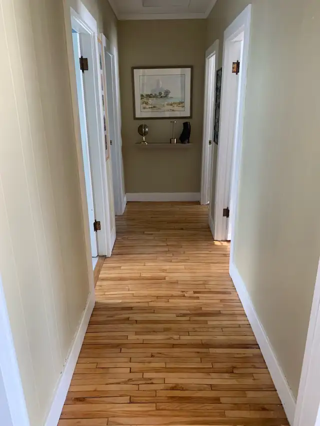 Charming cottage near great beach in Ponemah in Manitoba in Canada - Image 4