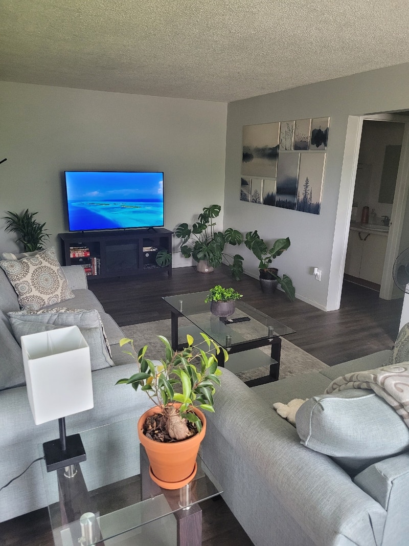 One bedroom in two bedroom apartment Room Rentals & Roommates