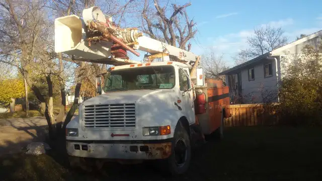 TREE TRIMMING/REMOVAL in Lawn, Tree Maintenance & Eavestrough in Prince Albert - Image 2