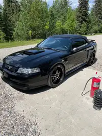 2002 Ford Mustang GT 