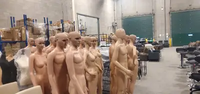 Male: $80 - $105 plus tax Female: $69 - $79 Female with pose $69 - $89 Headless height adjustable:$3...