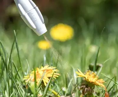 A+ Grass is an affordable option for keeping your lawn looking healthy and lush. Our weed control is...