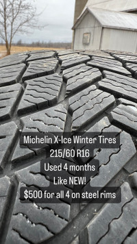 Michelin X-Ice Winter Tires