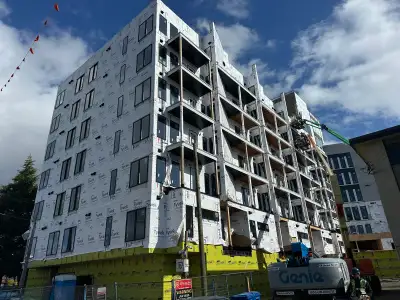 skilled labour, carpenter needed, View more
