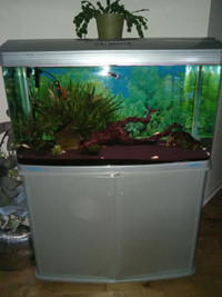 Aquarium JEBO 3100 60 galons/240L avec meuble et poissons