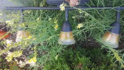 track lighting fixture, View more