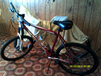 Norco Mountain Bike - 24 spd
