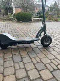Electric Scooter E300