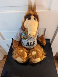 Alf looking for a new home
