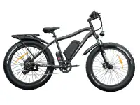 Vélo électrique fat bike wild goose 60 volts 500 watts