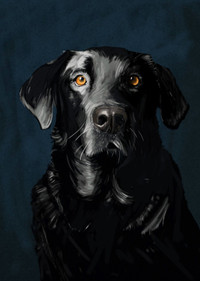 Custom Dog portrait. 100% hand painted.