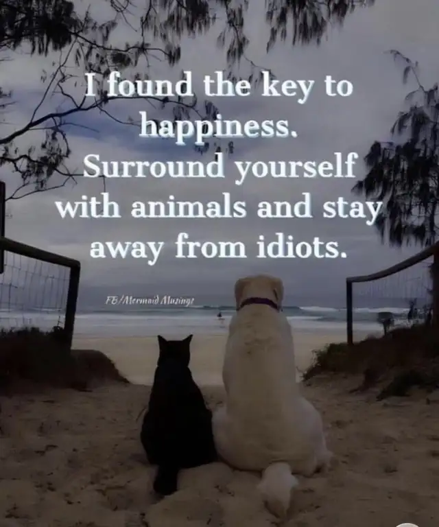 Making a Great Friend Only!!!!!64695061794819122